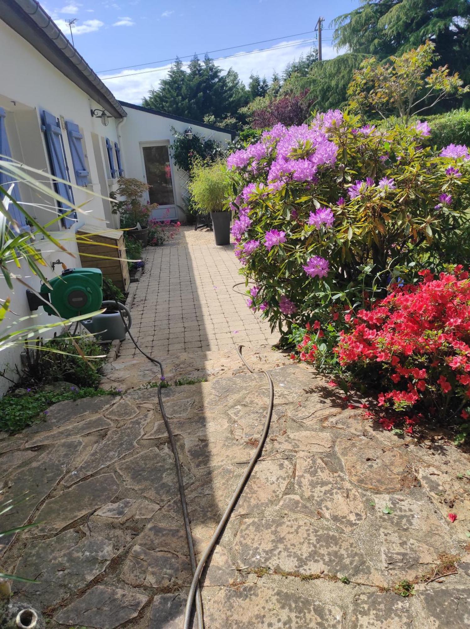 Grand Studio Duplex Avec Jardin La Trinité-sur-Mer Eksteriør billede