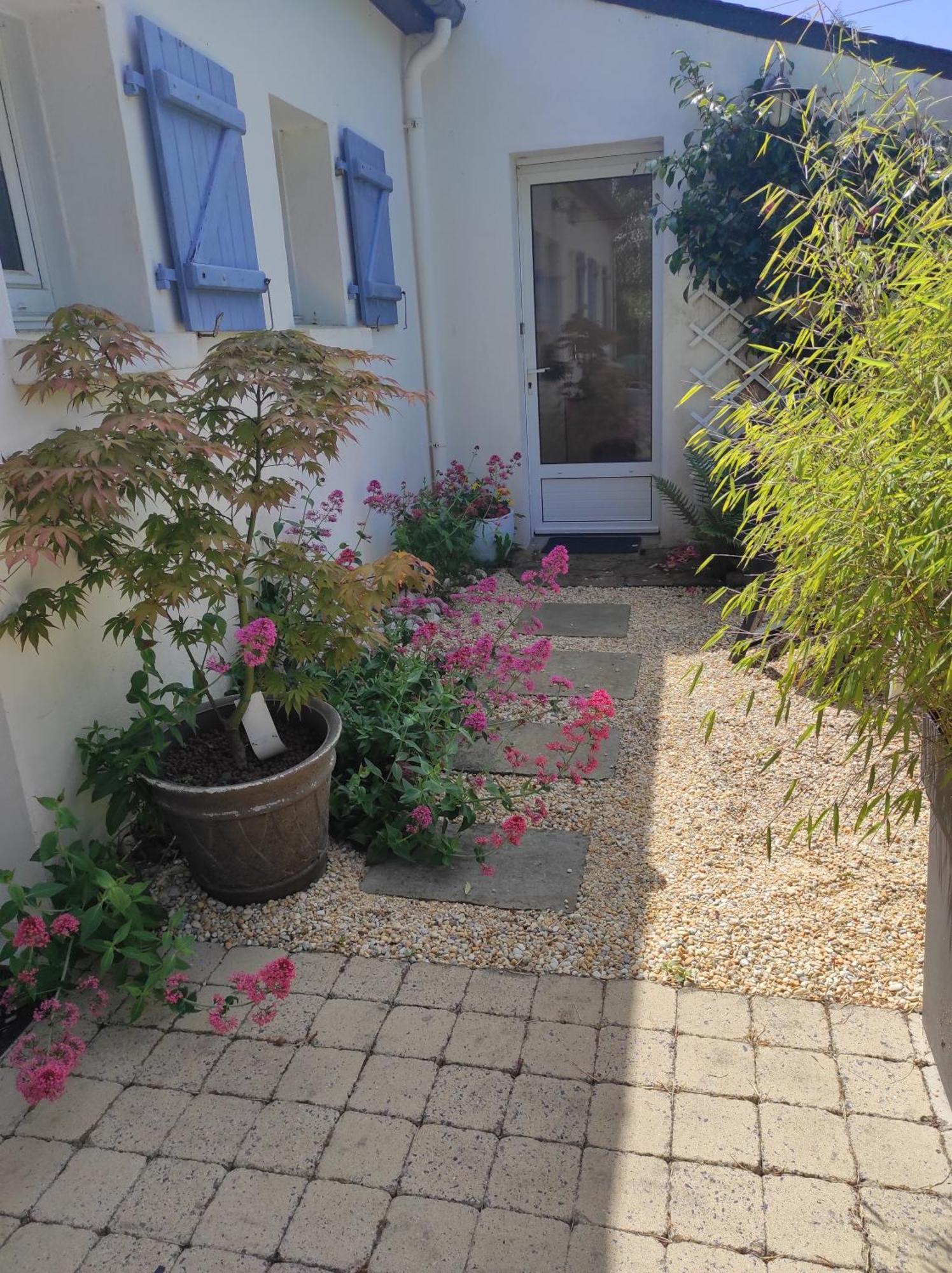 Grand Studio Duplex Avec Jardin La Trinité-sur-Mer Eksteriør billede